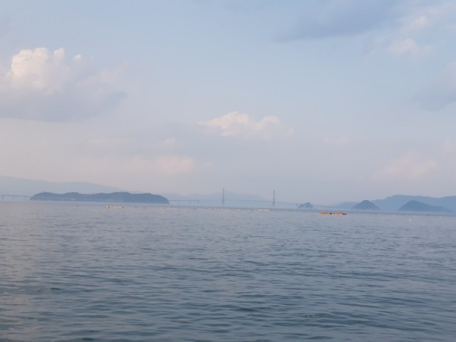 c3bd6678920049c7340be1c1ad801c49_1526301991_9954.jpg